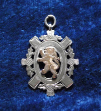 Load image into Gallery viewer, Silver Pocket Watch Fob
